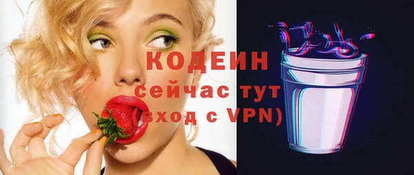 ГАЛЛЮЦИНОГЕННЫЕ ГРИБЫ Абаза