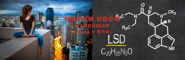 ГАЛЛЮЦИНОГЕННЫЕ ГРИБЫ Абаза
