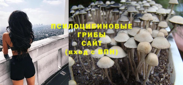 дмт Абинск