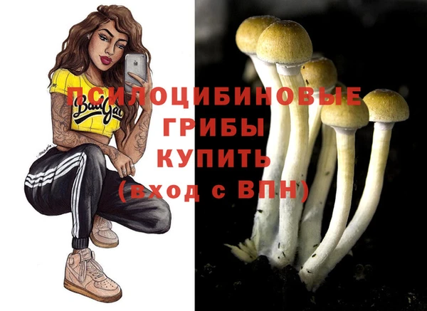 ГАЛЛЮЦИНОГЕННЫЕ ГРИБЫ Абаза