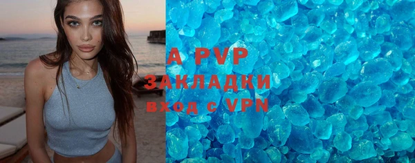 ГАЛЛЮЦИНОГЕННЫЕ ГРИБЫ Абаза
