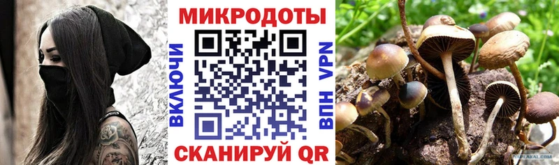 блэк спрут ONION где купить наркоту Красково Псилоцибиновые грибы Psilocybe
